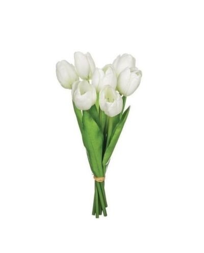 Tulipanes